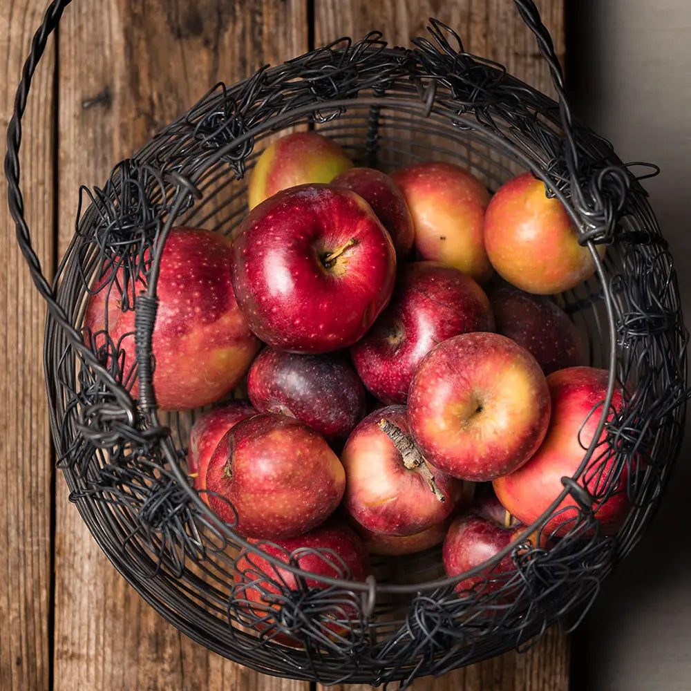 Mar (Malus) Abondanzza, cu fructe rosii dulci-zemoase, an 3 pe rod