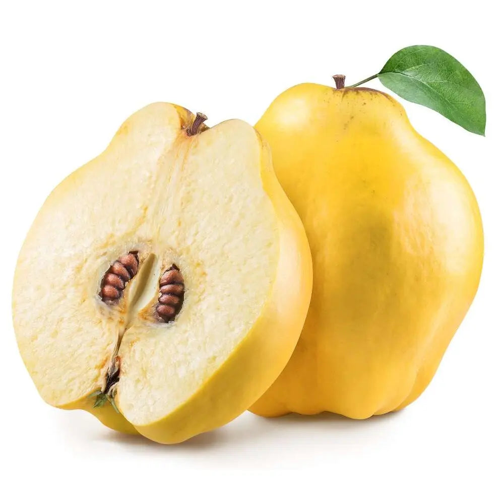 Mar (Malus) Cotogno, cu fructe galbene dulci-acrisor, an 3 pe rod