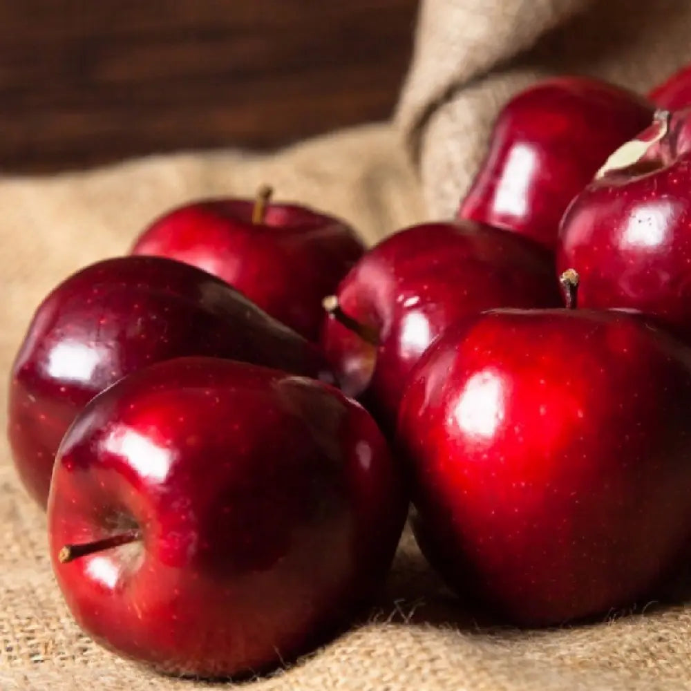 Mar (Malus) Rosa Stark Delicious, cu fructe rosii dulci-zemoase, an 3 pe rod