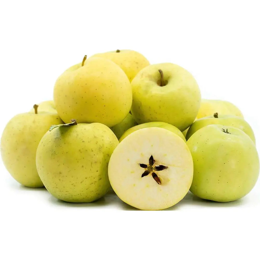 Mar (Malus) Gold Rush, cu fructe galbene dulci-acrisor, an 3 pe rod