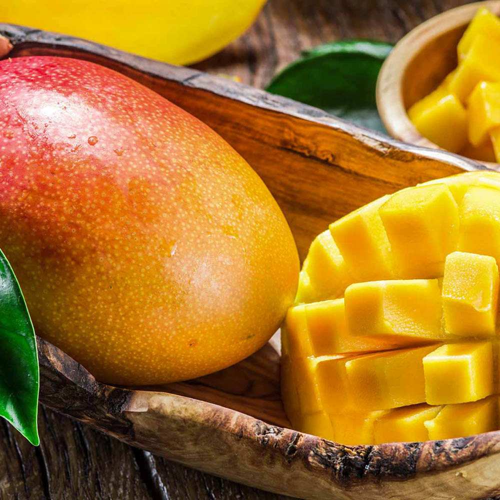 Mango in ghiveci, pom fructifer exotic cu fructe dulci cremoase, pentru interior sau terasa