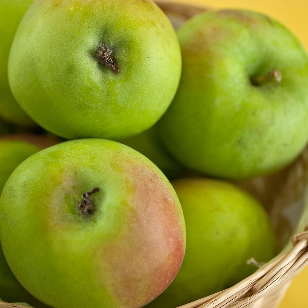 Mar Bolero (Malus Bolero), cu fructe dulci