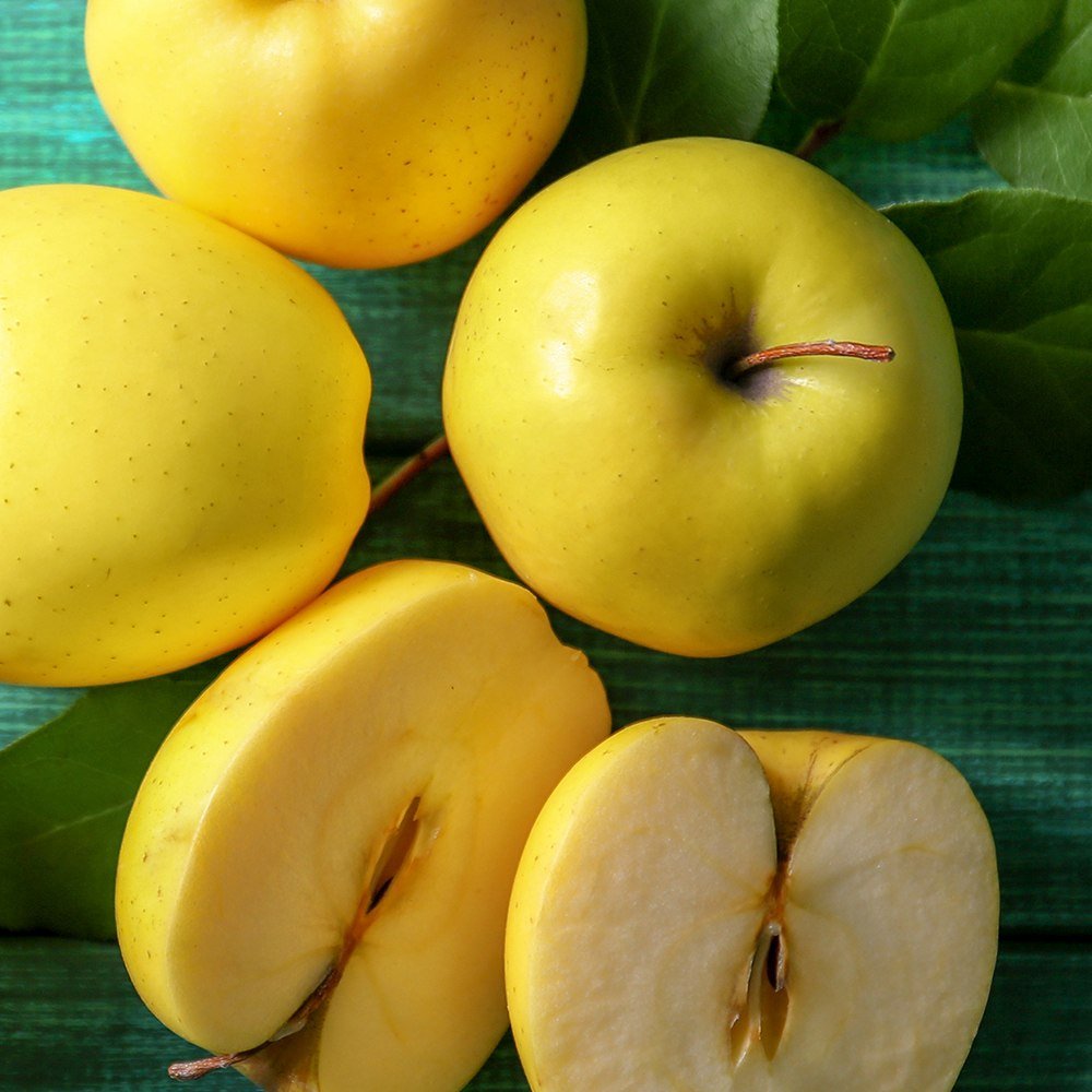 Mar (Malus) Golden Delicious, cu fructe dulci