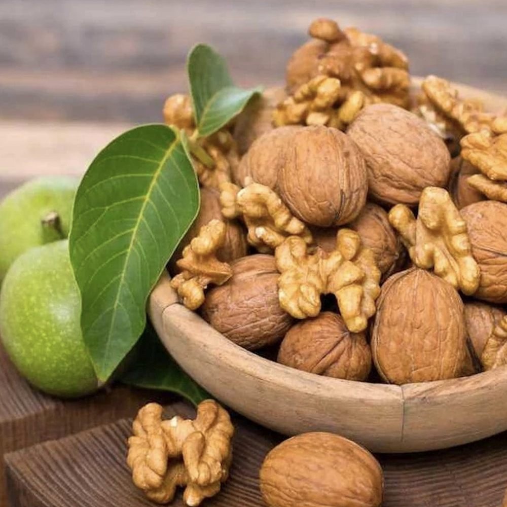 Nuc de Marea Neagra Nealtoit (Juglans Regia), cu dust dulce-amarui