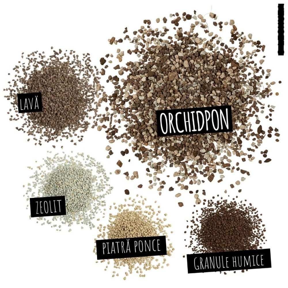 Substrat Mineral LECHUZA Orchidpon 3 l, pentru orhidee, 100% fara turba, cu ingrediente naturale