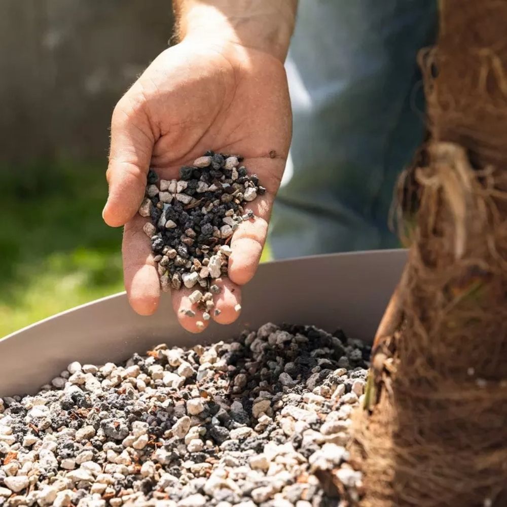 Substrat Mineral LECHUZA Palmpon 12 l, pentru palmieri si plante mediteraneene, 100% fara turba, cu ingrediente naturale