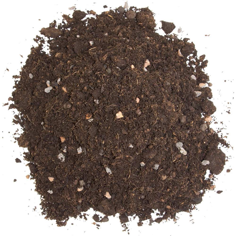 Pamant pentru Plante Citrice si Mediteraneene, 10 l, cu Ingrasamant Premium Imbogatit cu Fier, Floragard