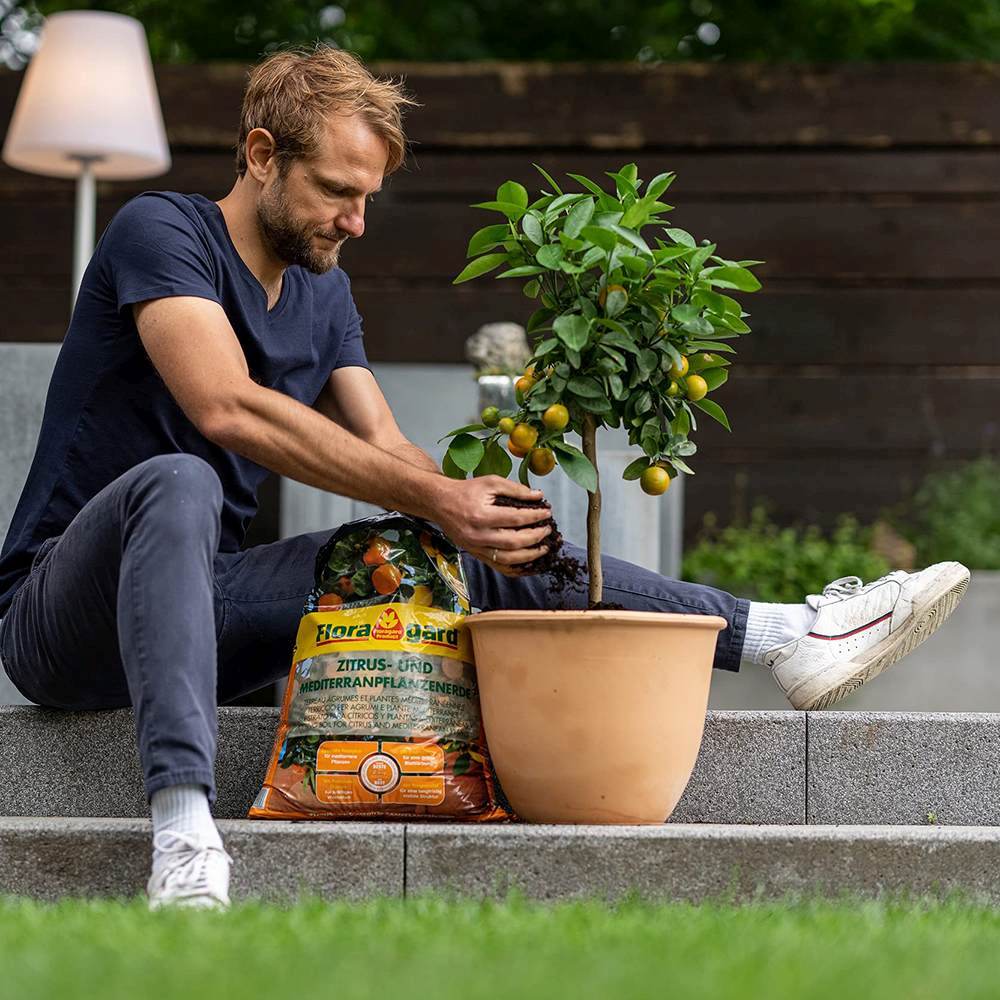 Pamant Premium pentru Citrice si Plante Mediteraneene, 40 l, Floragard