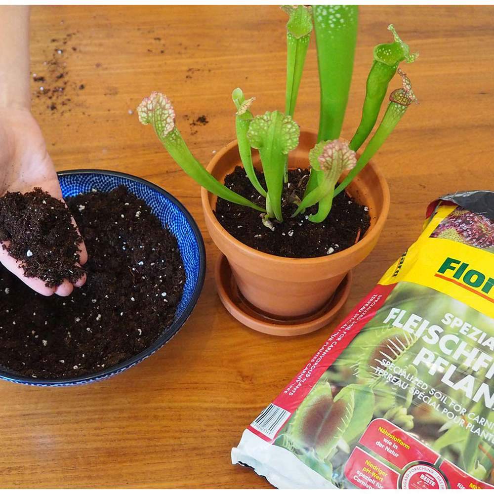 Pamant Special pentru Plante Carnivore, 3 l, Potrivire Perfecta pentru Repotare, Floragard