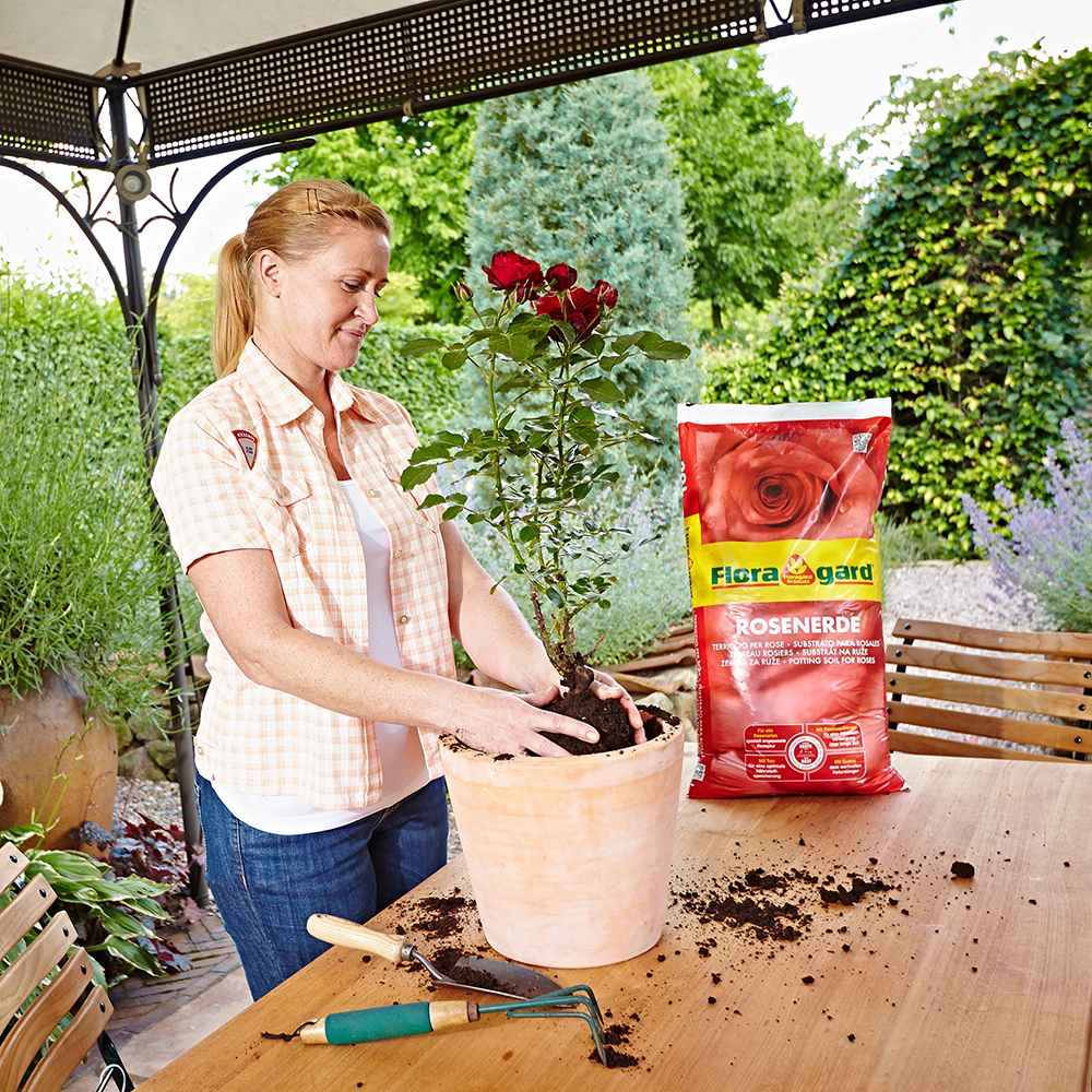 Pamant Special pentru Trandafiri, cu Argila si Turba Redusa, 20 l, Nutritie Optima si Drenaj Superior, Floragard