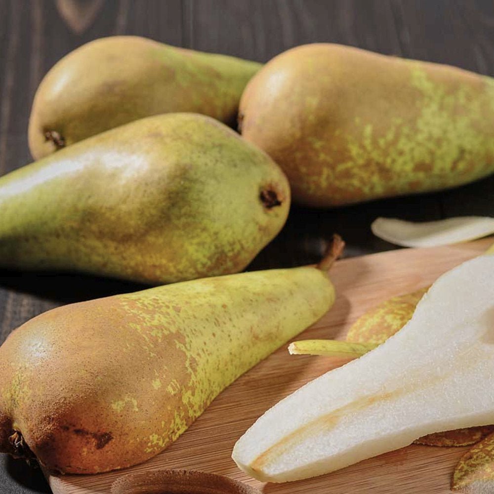 Par (Pyrus Communis) Conference, cu fruncte alungite dulci si suculente