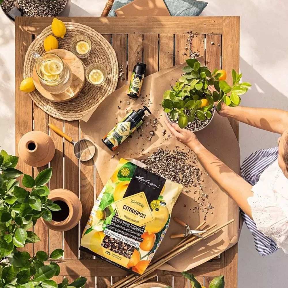 Ingrasamant Lechuza PERFECT CITRUS 150 g, pentru plante citrice, eliberare lenta, 3g/L