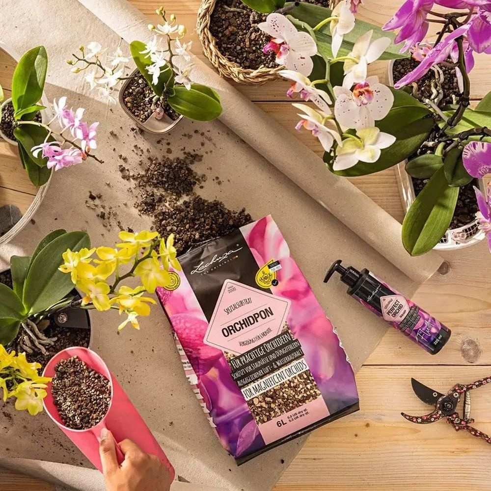 Ingrasamant Lichid Lechuza PERFECT ORCHID 225 ml, pentru orhidee, 1 pompa/L, formula rapida