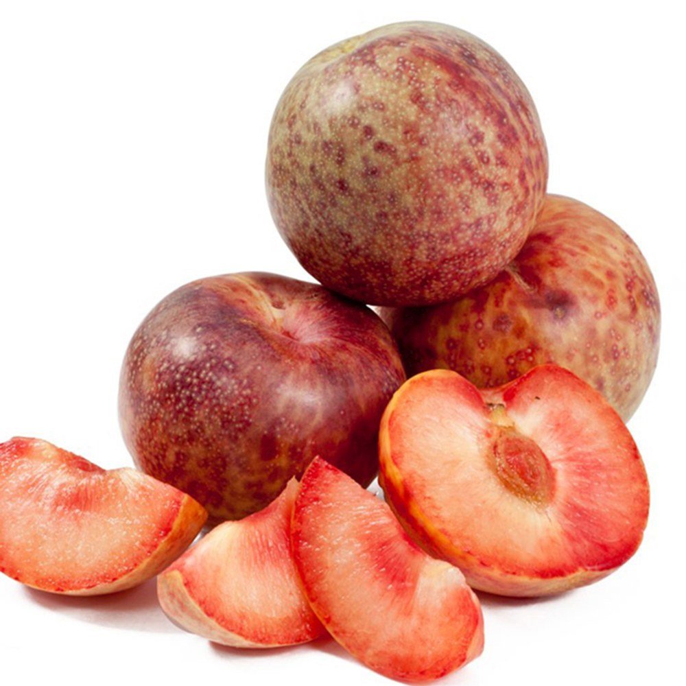 Prun Dapple Dandy (Prunus Domestica), cu fructe dulci-acrisor bicolor