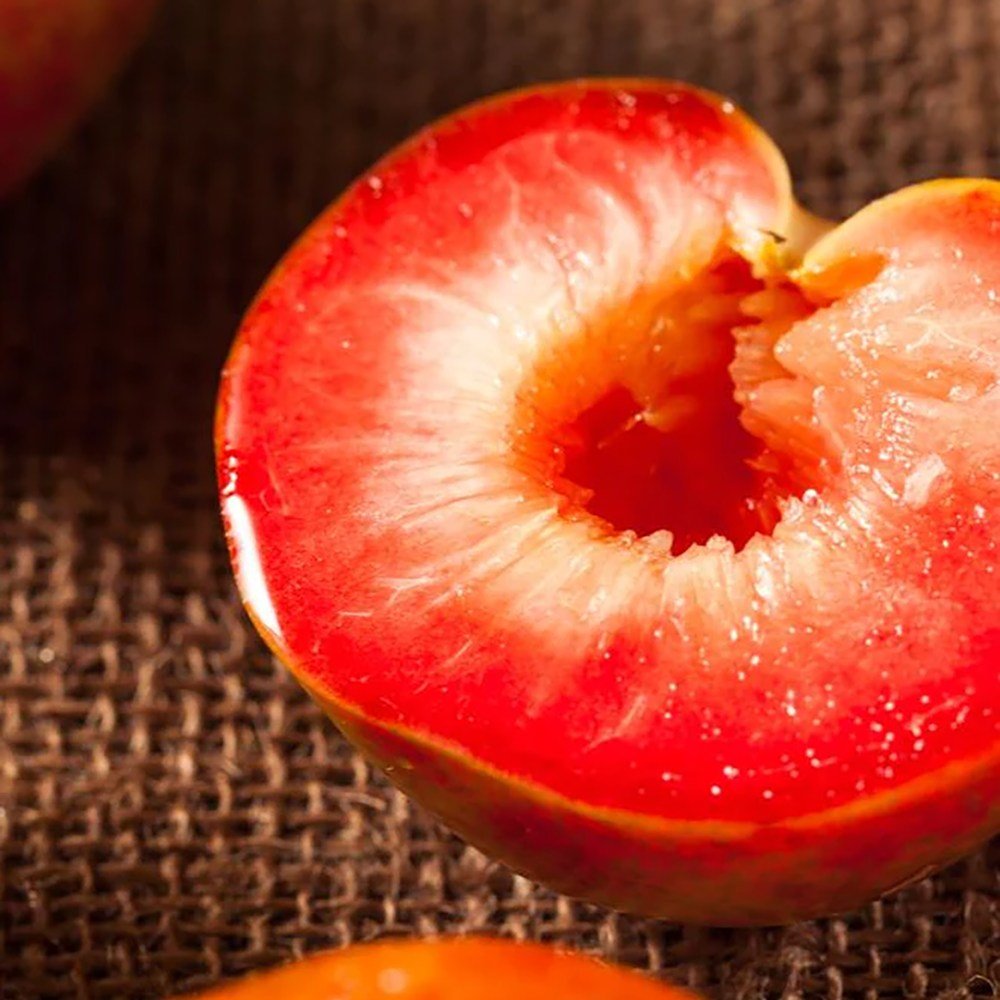 Prun Dapple Dandy (Prunus Domestica), cu fructe dulci-acrisor bicolor