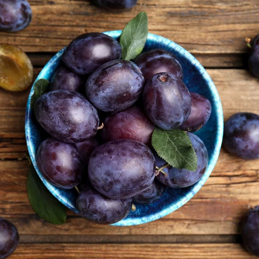 Prun Stanley (Prunus Domestica), cu fructe dulci violet
