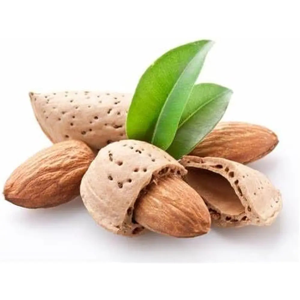 Copacel Migdal Filippo Ceo (Prunus amygdalus), cu migdale dulci crocanti, an 2 pe rod