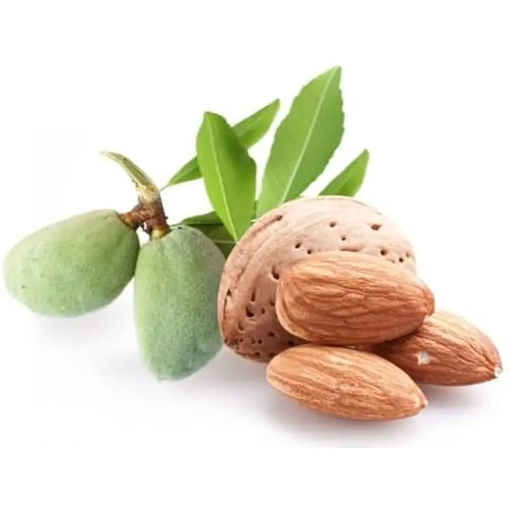 Copacel Migdal Santa Caterina (Prunus amygdalus), cu migdale dulci crocanti, an 2 pe rod