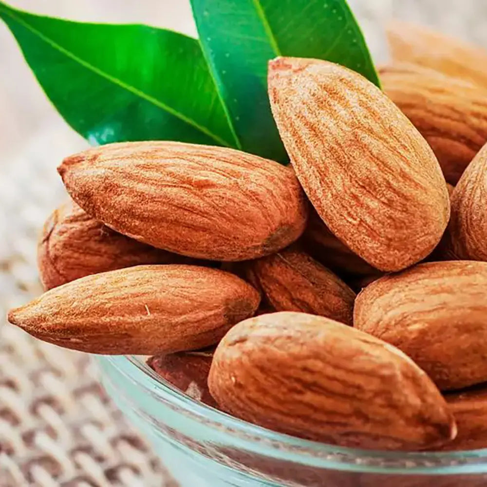 Copacel Migdal Tuono (Prunus amygdalus), cu migdale dulci crocanti, an 2 pe rod