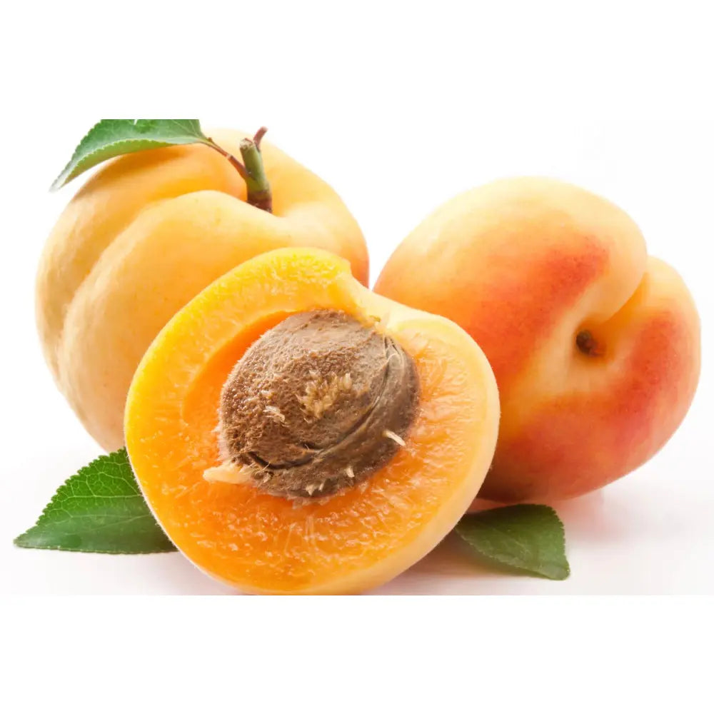 Cais (Prunus armeniaca) Caninos, cu fructe dulci portocalii, an 2 pe rod