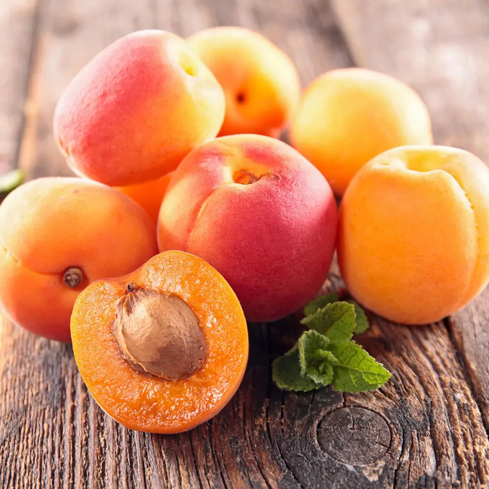 Cais (Prunus armeniaca) Reale D'Imola, cu fructe dulci galbene-aurii, an 2 pe rod