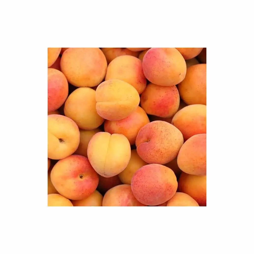 Cais (Prunus armeniaca) Luizet, cu fructe dulci portocalii, an 2 pe rod