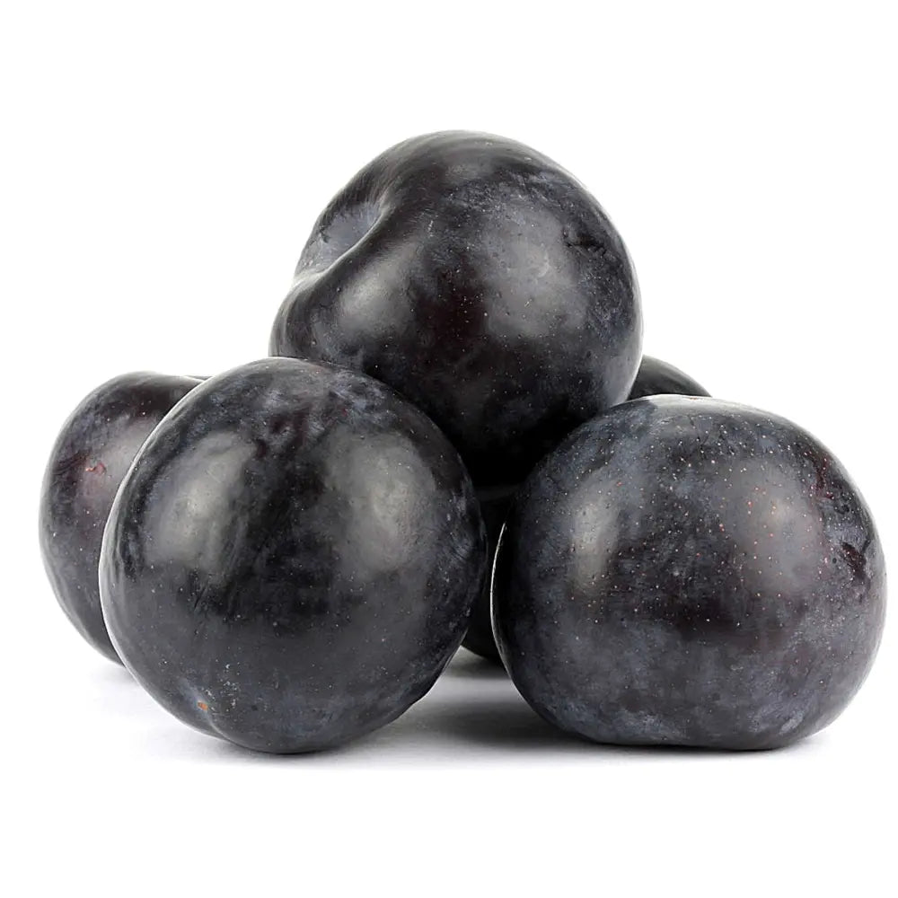 Prun Angeleno (Prunus Domestica), cu fructe dulci negre, an 2 pe rod