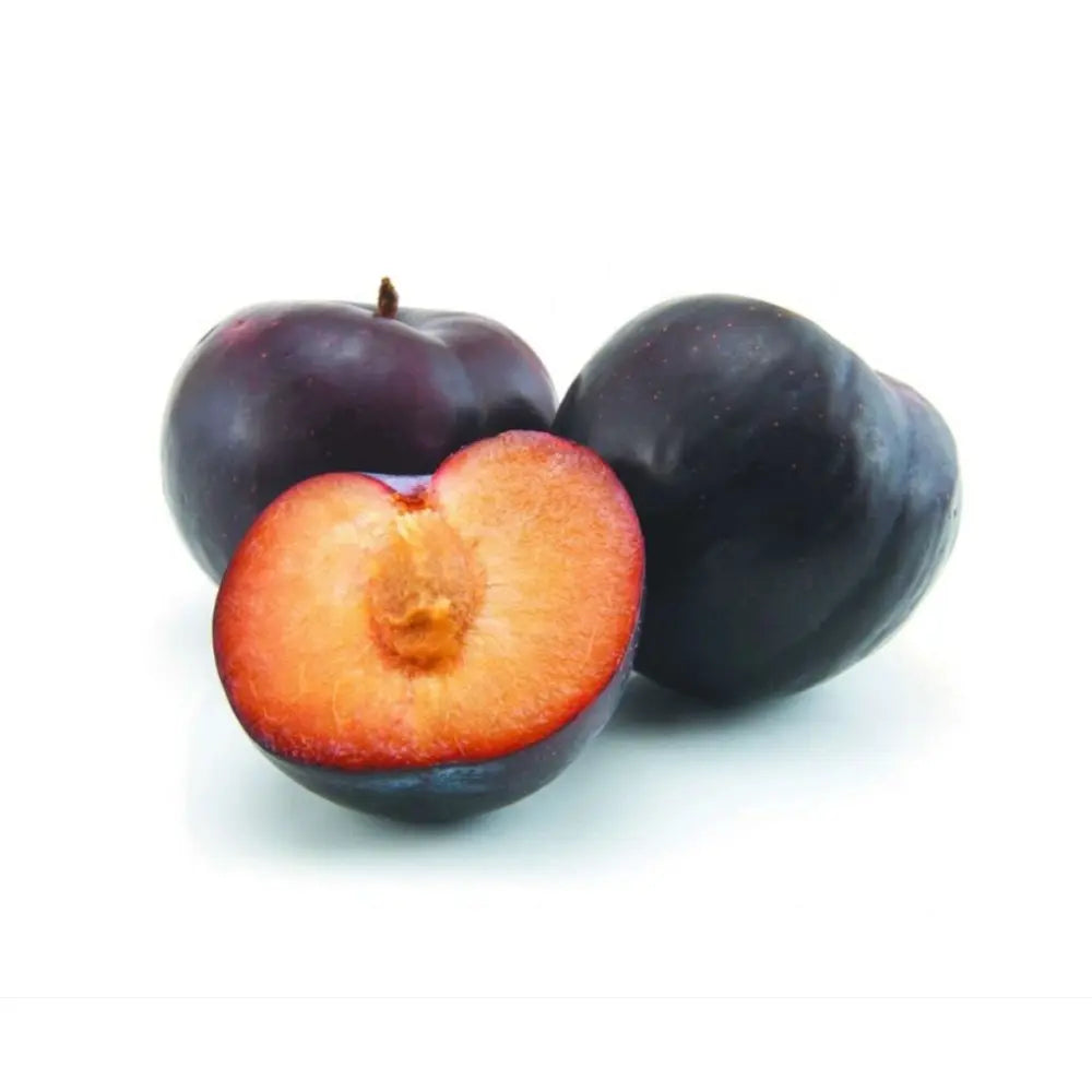 Prun Angeleno (Prunus Domestica), cu fructe dulci negre, an 2 pe rod