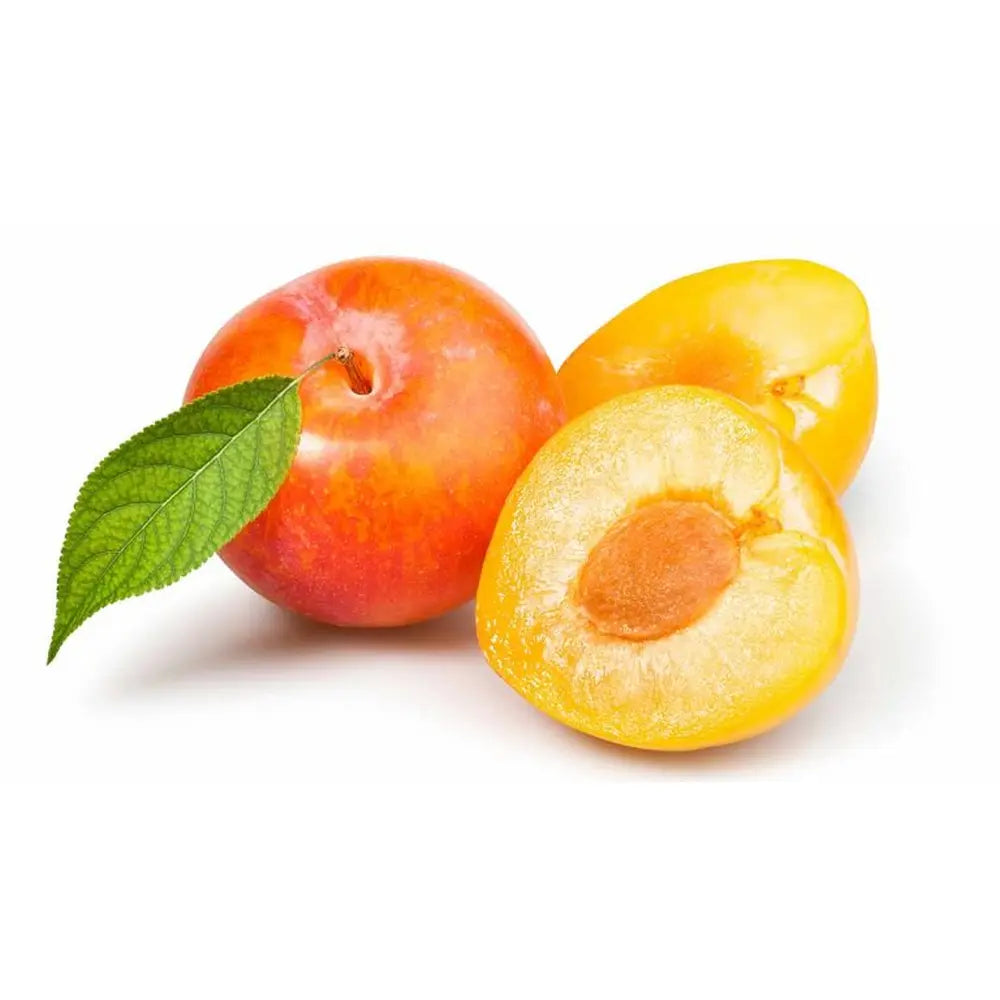 Prun Sorriso Di Primavera (Prunus Domestica), cu fructe dulci galbene-rosiatice, an 2 pe rod