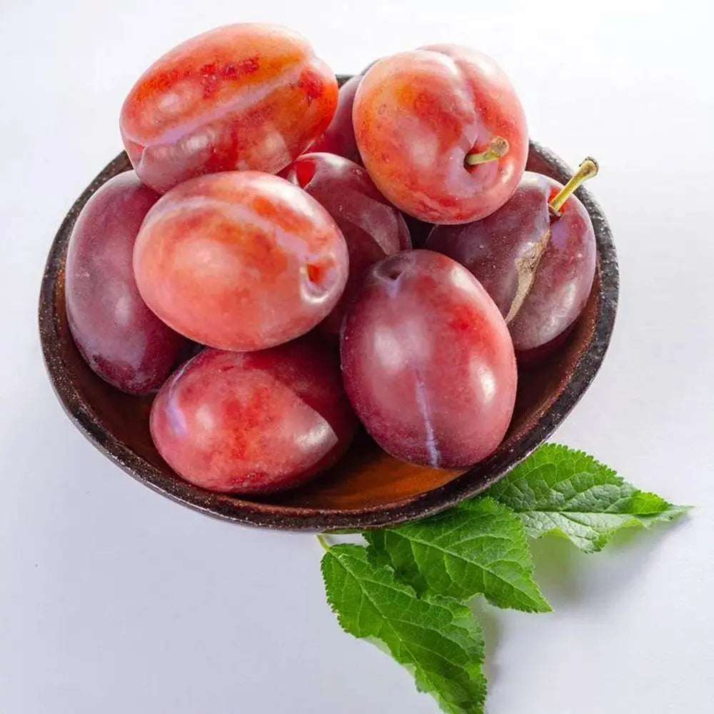Prun Anna Spaeth (Prunus Domestica), cu fructe dulci rosii-violet, an 2 pe rod