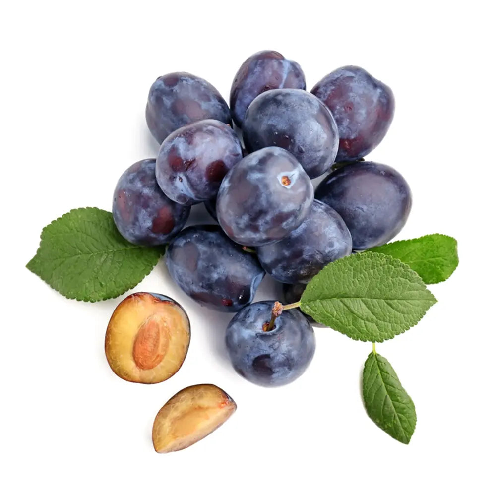 Prun Grossa Di Felisio (Prunus Domestica), cu fructe dulci mov, an 2 pe rod