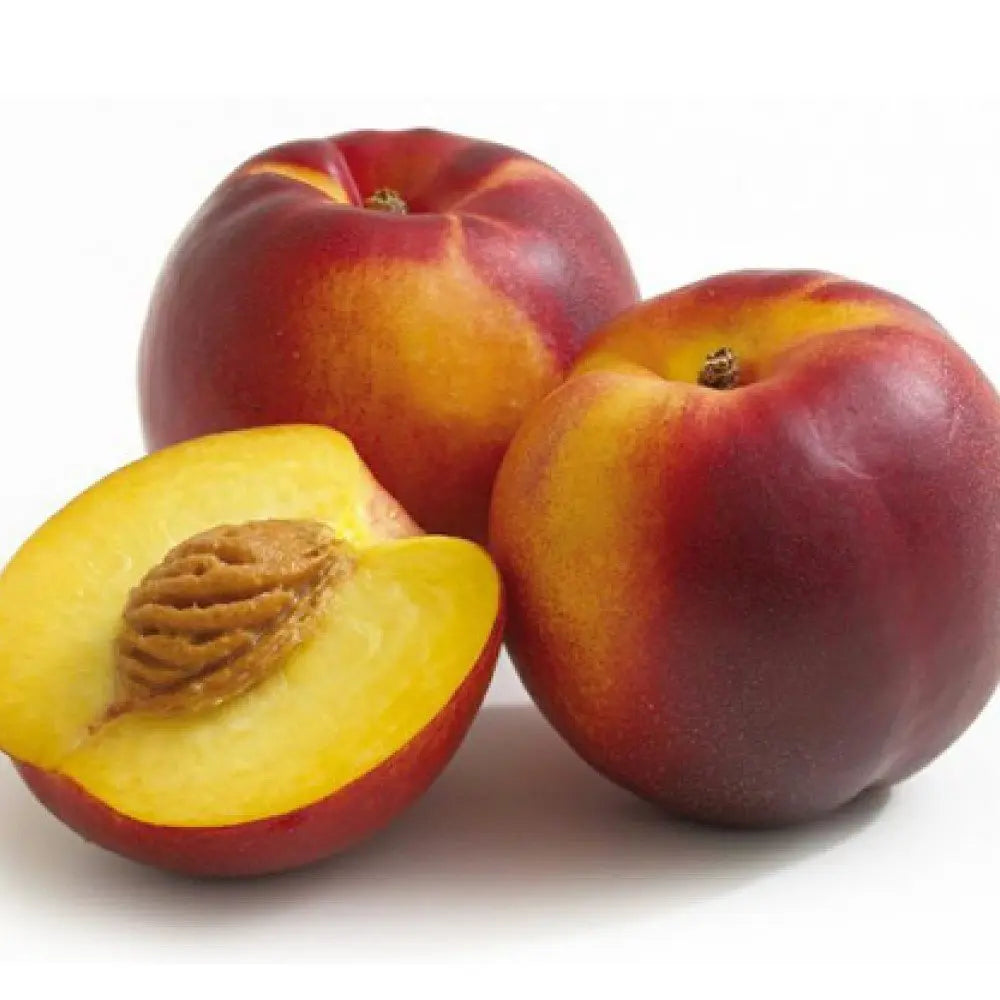 Nectarin (Prunus Persica) Noce Big Top, cu fructe burgundii-galbene, an 2 pe rod