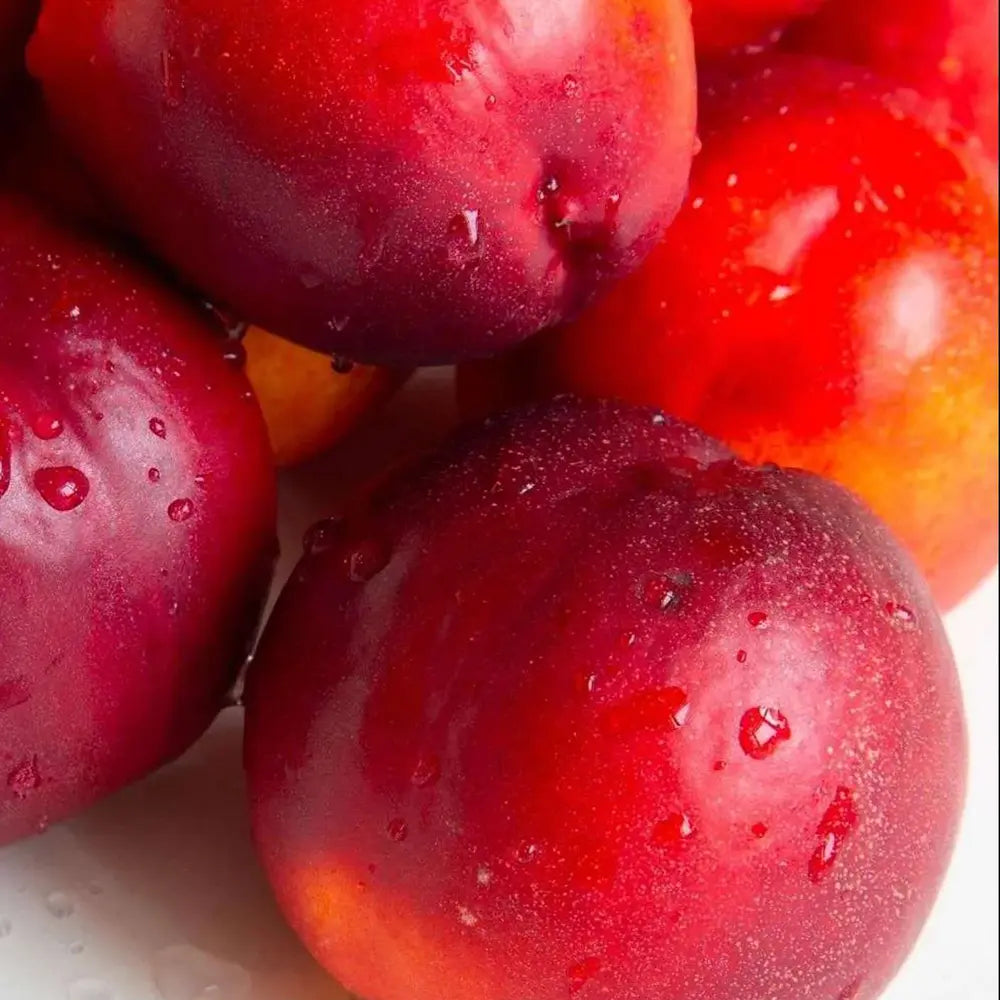 Nectarin (Prunus Persica) Noce Indipendence cu fructe rosii-galbene, an 2 pe rod