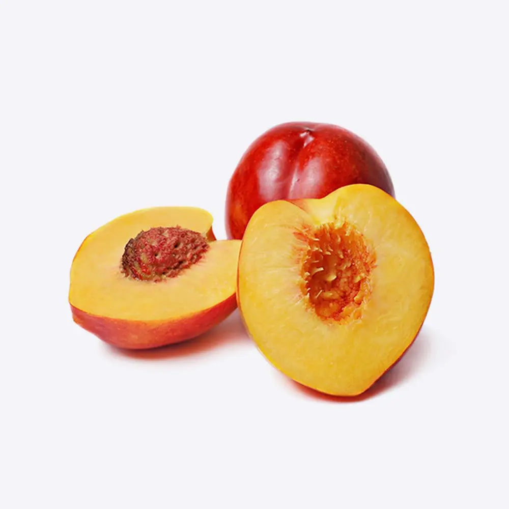 Nectarin (Prunus Persica) Noce Venus cu fructe rosii-galbene, an 2 pe rod