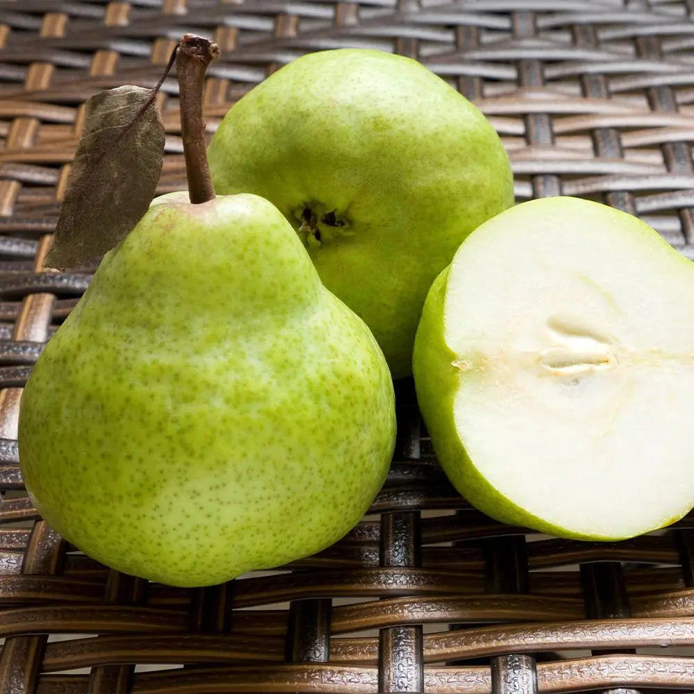 Par (Pyrus Communis) Butirra D'Anjou, cu fructe galbene-verzui dulci, an 2 pe rod