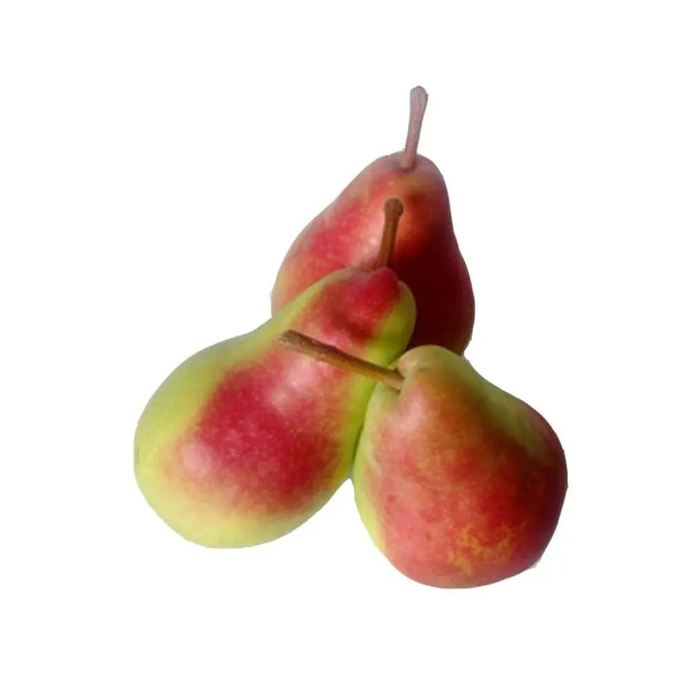 Par (Pyrus Communis) Butirra Morettini, cu fructe galbene-verzui dulci, an 2 pe rod