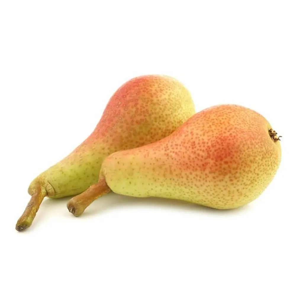 Par (Pyrus Communis) Carmen, cu fructe galbene-verzui dulci, an 2 pe rod