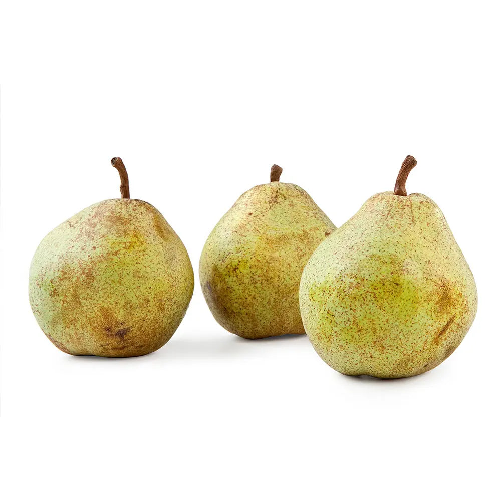 Par (Pyrus Communis) Decana Del Comizio, cu fructe galbene-verzui dulci, an 2 pe rod