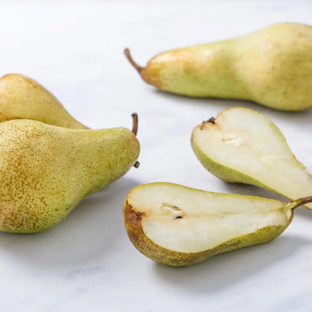 Par (Pyrus Communis) Decana D'Inverno, cu fructe galbene-verzui dulci-acrisor, an 2 pe rod