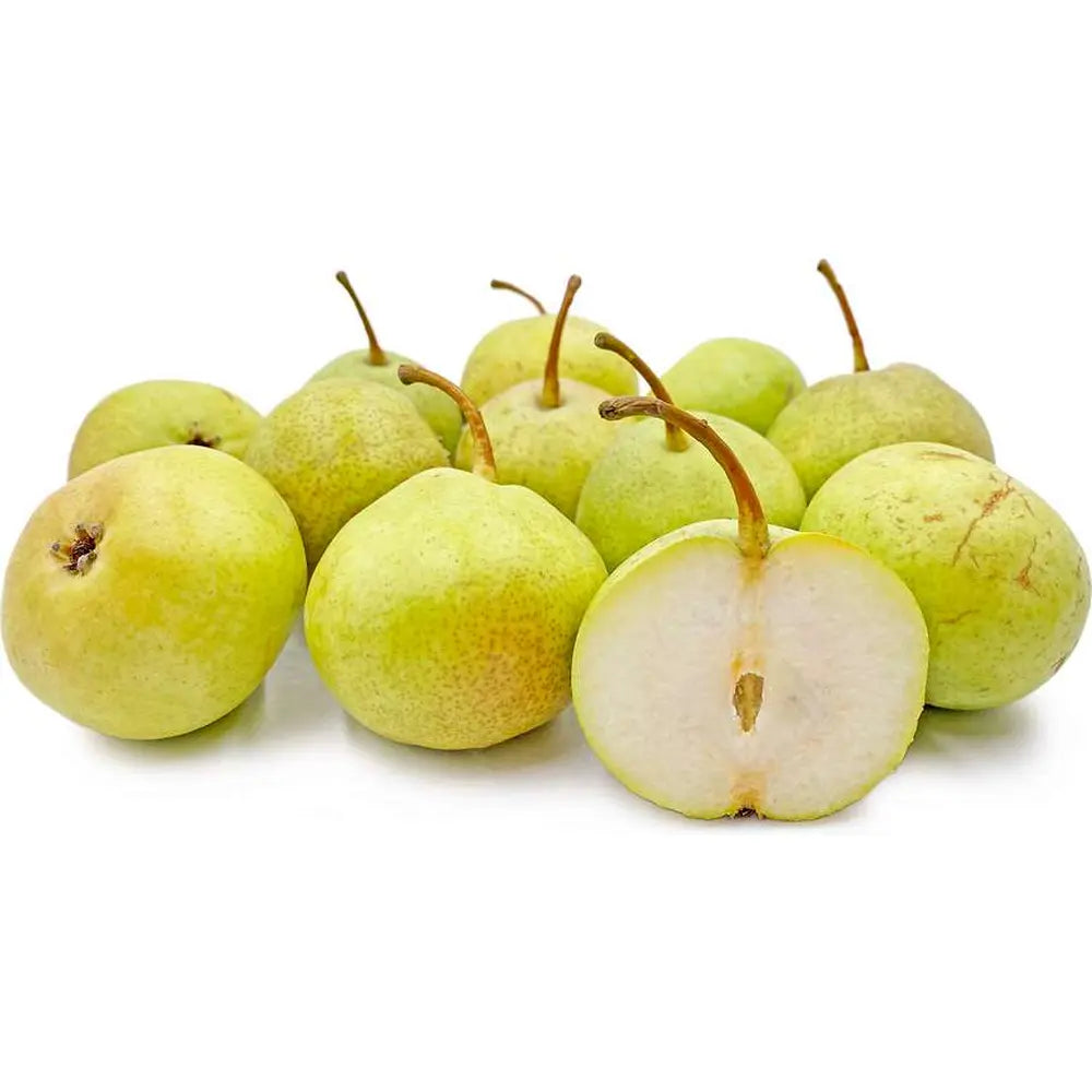 Par (Pyrus Communis) Duchessa, cu fructe galbene-verzui dulci, an 2 pe rod