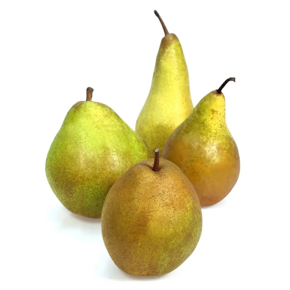 Par (Pyrus Communis) San Pietro, cu fructe galbene-verzui dulci, an 2 pe rod