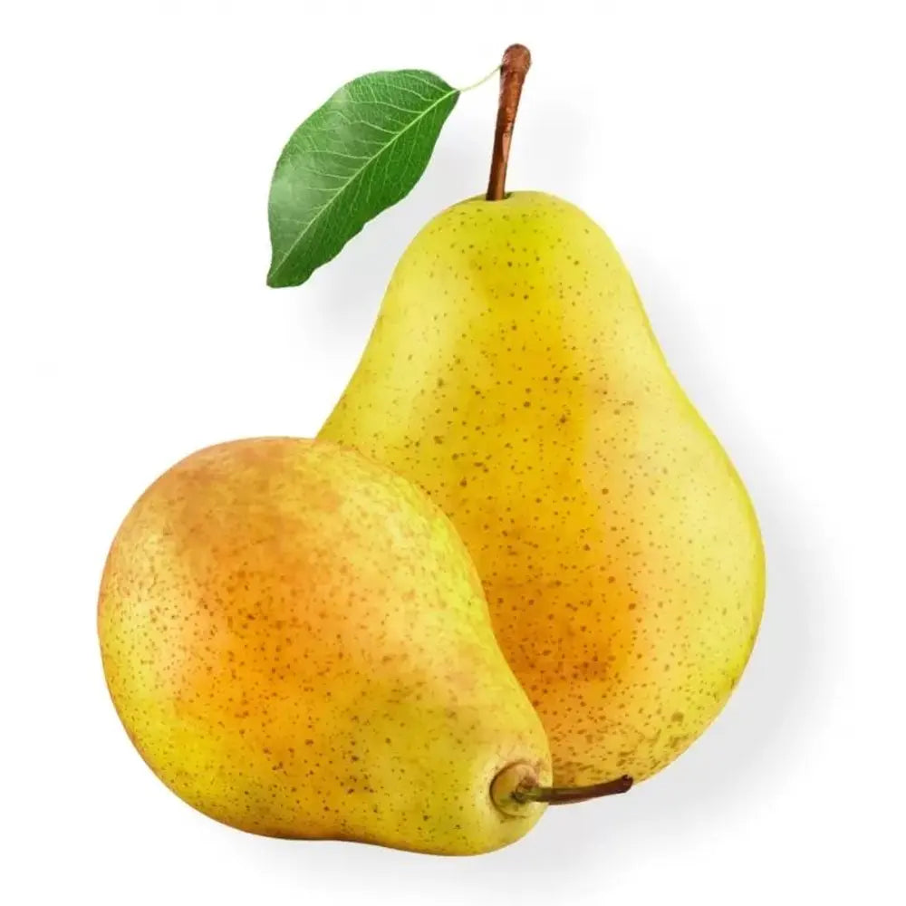 Par (Pyrus Communis) William Bianca, cu fructe galbene dulci-acrisor, an 2 pe rod