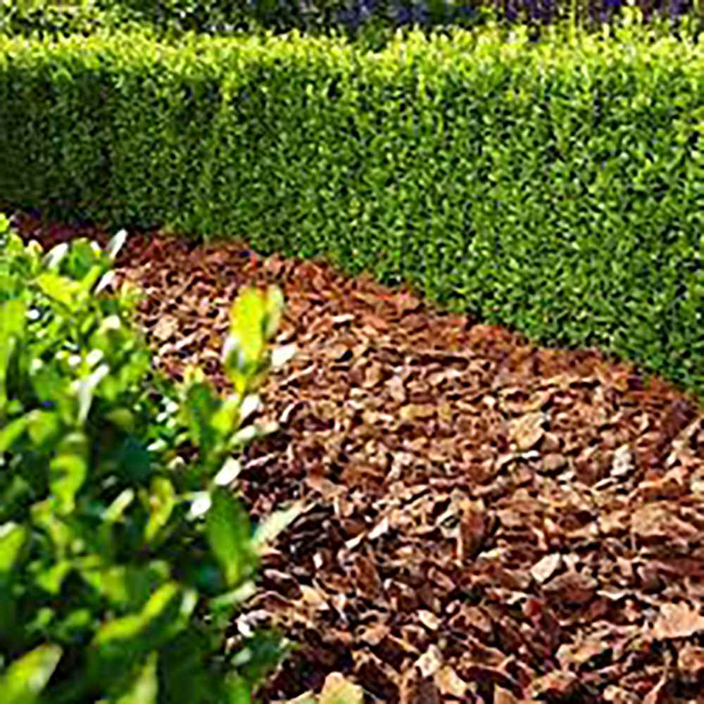 Scoarta de Pin Decorativa pentru Tulpina, 25-40 mm, 60 l, Floragard