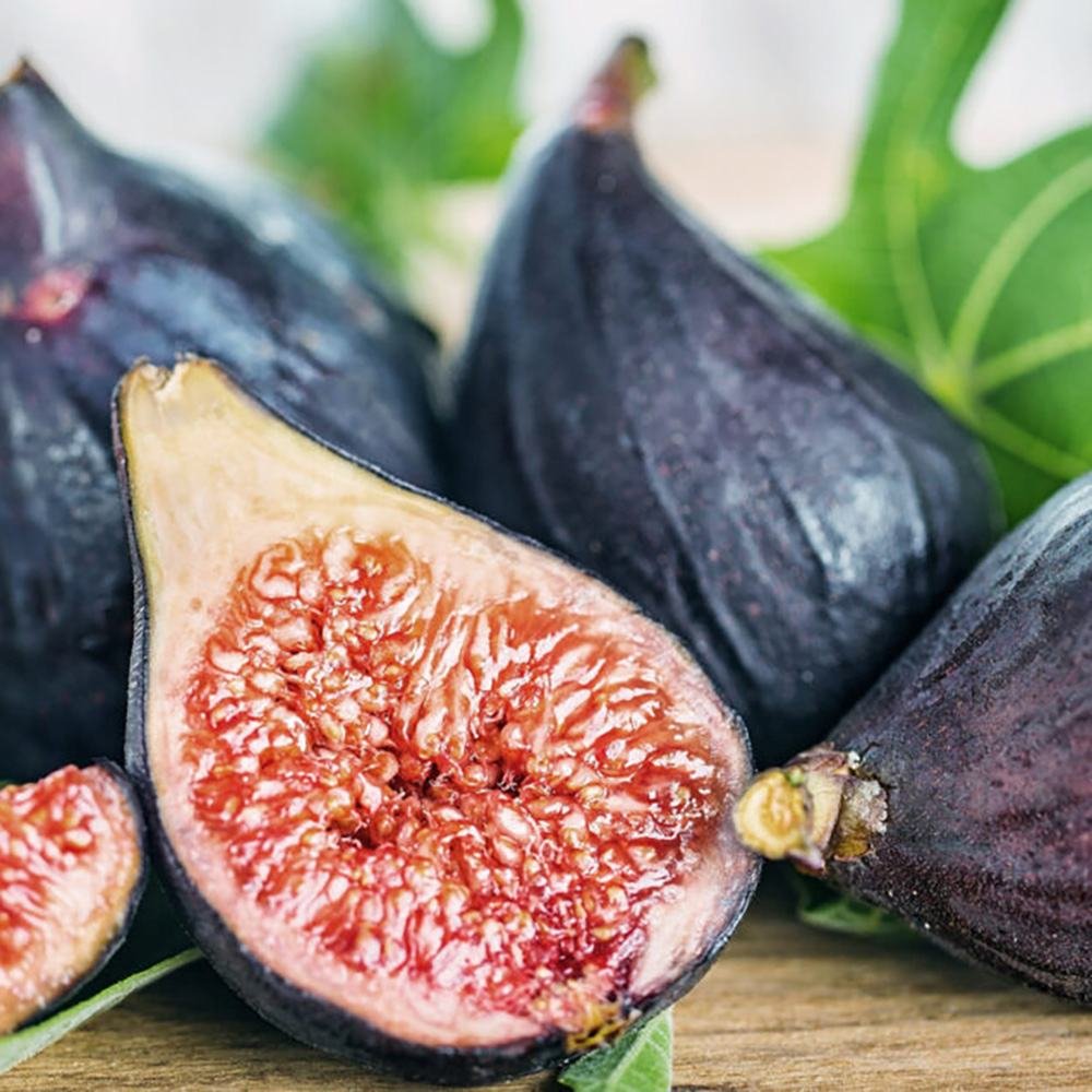 Smochin (Ficus Carica) cu fructe dulci negre