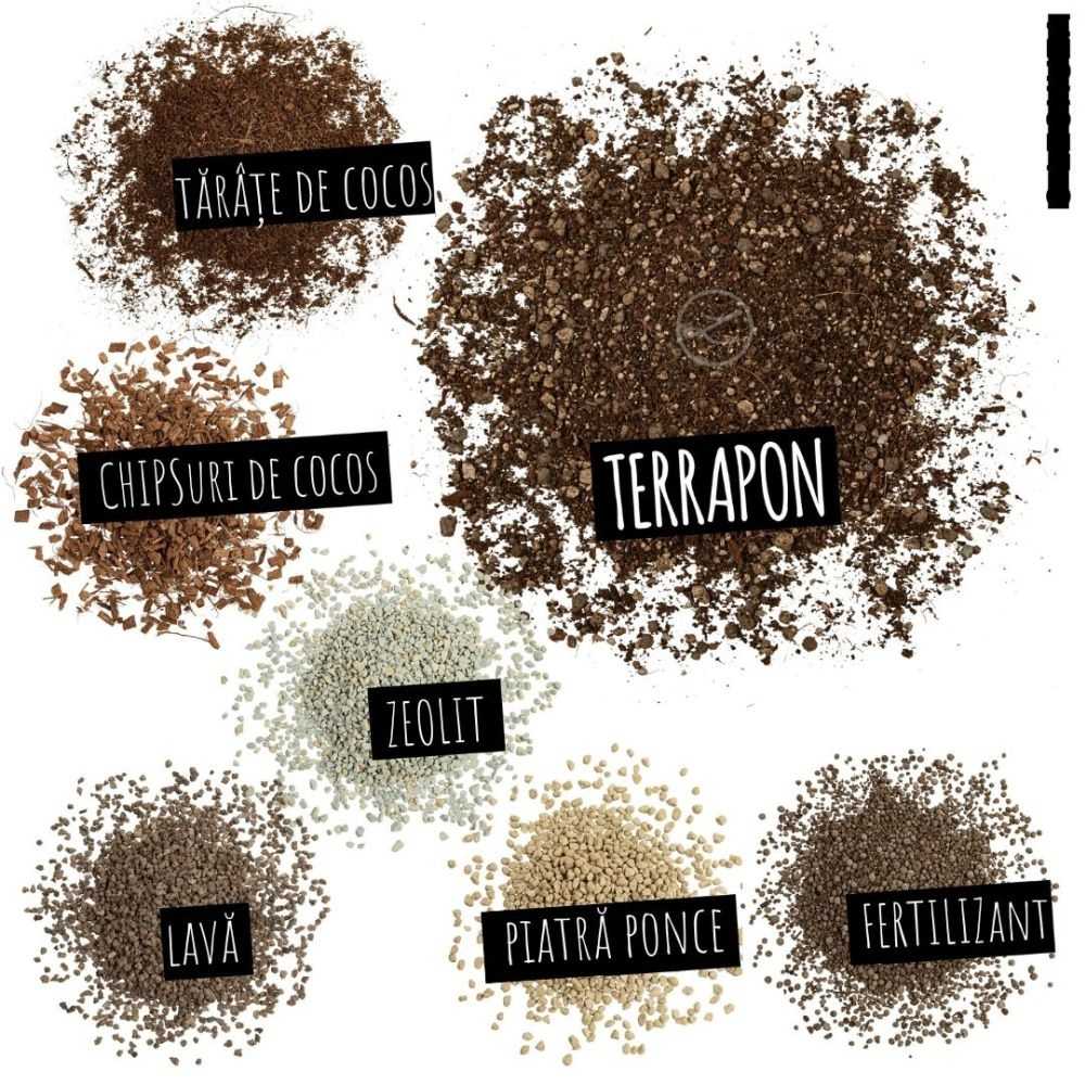 Substrat Mineral LECHUZA Terrapon 6 l, pentru plante de exterior, 100% fara turba, cu ingrediente naturale