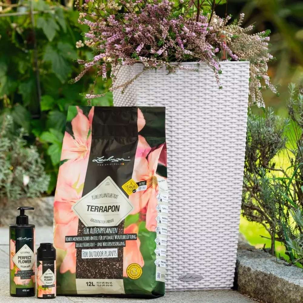 Substrat Mineral LECHUZA Terrapon 6 l, pentru plante de exterior, 100% fara turba, cu ingrediente naturale