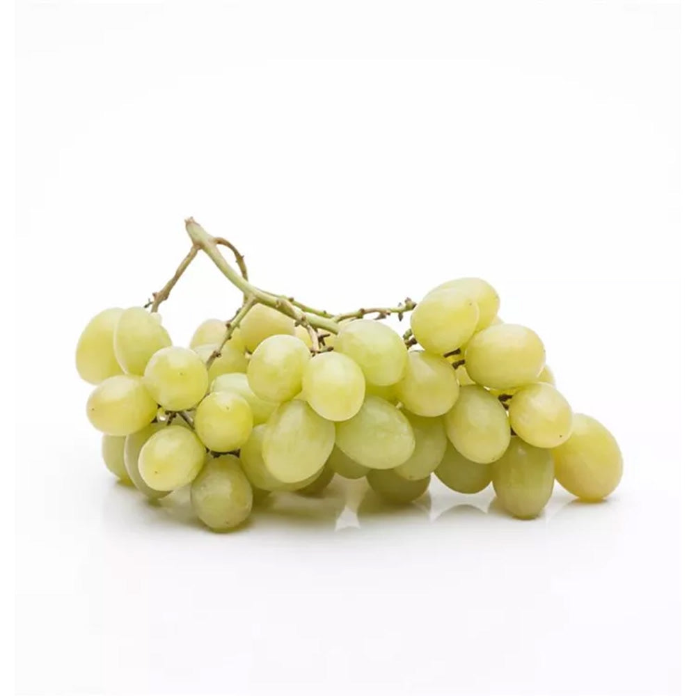 Vita de Vie (Vitis vinifera) Muller-Thurgau, cu struguri galben-verzui, vin aromat, an 1 pe rod