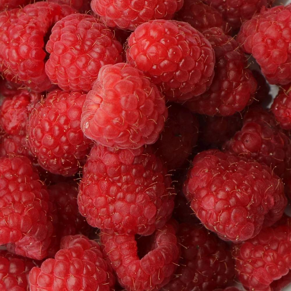 Zmeur Rosu Autumn Happy (Rubus Idaeus)