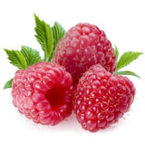 Zmeur Rosu Meeker (Rubuis Idaeus), cu fructe dulci rosii - VERDENA-30-40 cm inaltime, livrat in ghiveci de 2 l