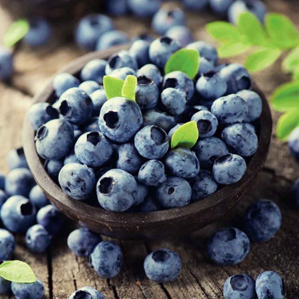 Afin Duke (Vaccinium corymbosum), cu fructe dulci